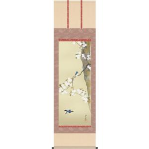 掛け軸 掛軸 酒井 抱一（さかいほういつ）・ 梅、雀（うめ、すずめ