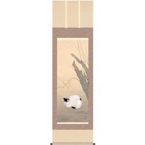 K155 狩野探幽 「海常に尾長鳥」 掛軸 日本画 工芸印刷 共箱 Amazon.co.jp: 掛軸 掛け軸 「海棠に尾長鳥」 狩野探幽 尺五 桐箱 幅