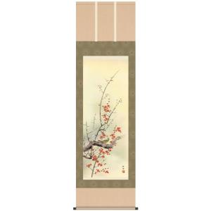 掛け軸 掛軸 尾形光琳 （ おがたこうりん ） 紅白梅図 こうはくばいず