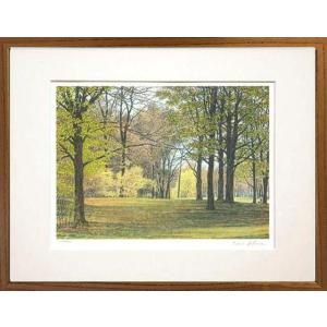 絵画 葉祥明 ひとり林に 版画 インテリア : 絵画生活 - 通販 - Yahoo