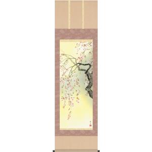 掛け軸 掛軸 桜 森山観月・桜花爛漫 尺五 花鳥画 春 桐箱 風鎮付き