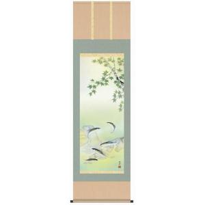 掛け軸 掛軸 桜 森山観月・桜花爛漫 尺五 花鳥画 春 桐箱 風鎮付き