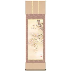 掛け軸 掛軸　春　桜　緒方葉水・桜花　尺五　花鳥画　床の間　桐箱畳紙収納｜art1