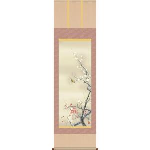 掛け軸 掛軸 桜 森山観月・桜花爛漫 尺五 花鳥画 春 桐箱 風鎮付き