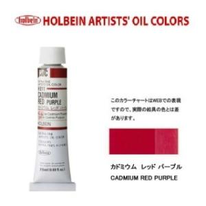ホルベイン 油絵具 6号 20ml H011 カドミウムレッドパープル