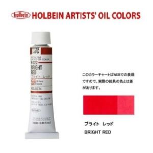 ホルベイン油絵具 6号 20ml H022 ブライトレッド