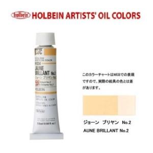 ホルベイン油絵具 6号 20ml H034 ジョーンブリヤンNo.２