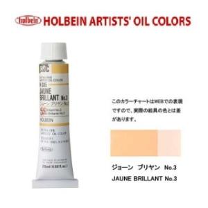 ホルベイン油絵具 6号 20ml H035 ジョーンブリヤンNo.３