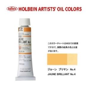 ホルベイン油絵具 6号 20ml H036 ジョーンブリヤンNo.４