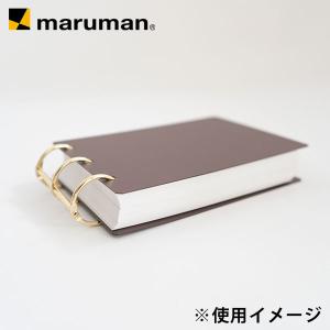 「数量限定」バインダー ミニサイズ ストレージ...の詳細画像3