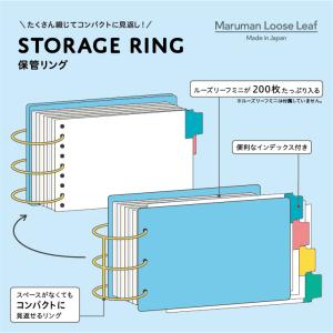 「数量限定」バインダー ミニサイズ ストレージ...の詳細画像4