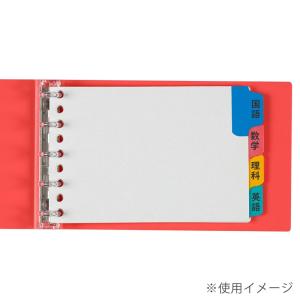 ルーズリーフ ラミネートタブ インデックス ミ...の詳細画像5