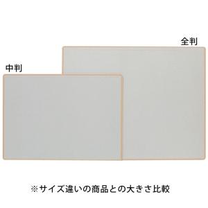 画材 携帯 収納用品 カルトン シングル 全判...の詳細画像1