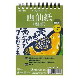 ポストカード 絵手紙 ハガキサイズ 150x101mm 画仙紙 越前 機械漉き 20枚 S174C マルマン (ゆうパケット1点まで)2点以上は宅配便｜artandpaperm