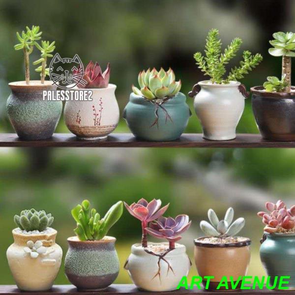 植木鉢 多肉植物鉢 陶器 おしゃれな植木鉢 かわいい インテリア 鉢底穴有り 軽量 部屋 オフィス ...