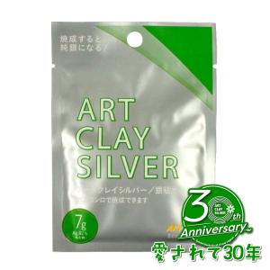 ART CLAY 銀粘土 アートクレイシルバー 950（25g） / 純銀粘土