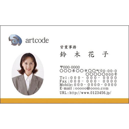 カラービジネス名刺　印刷　作成 100枚 ロゴ入れ可　シンプルなビジネス向け名刺　business0...