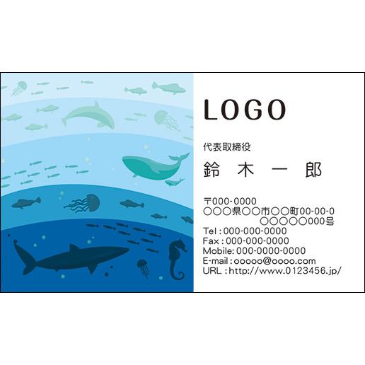 カラーデザイン名刺　ショップカード　印刷　作成【100枚】ロゴ入れ可　マリンショップ　スキューバダイ...