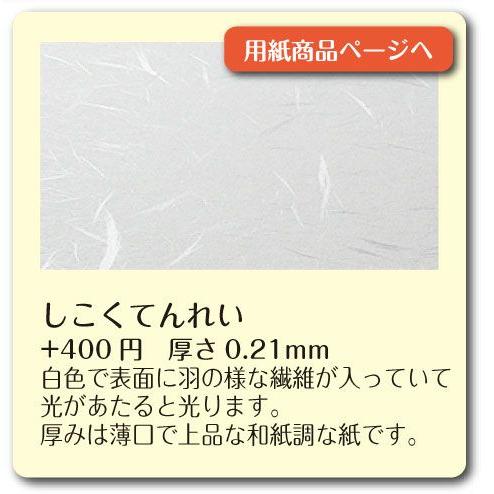 名刺用紙変更オプション　しこくてんれい用紙　100枚（レビュー有り110枚）