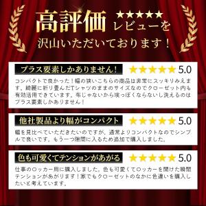 吊り下げ収納 クローゼット 吊り下げ式 収納棚...の詳細画像2