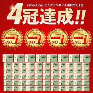 折りたたみ椅子 アウトドアチェア チェア 折り...の詳細画像1