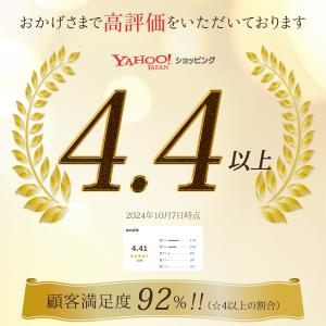 折りたたみ椅子 アウトドアチェア チェア 折り...の詳細画像3