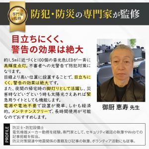 ソーラーライト 屋外 ガーデンライト センサー...の詳細画像4