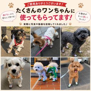 犬 靴 犬靴 靴下 犬用靴 ドッグシューズ 散...の詳細画像4