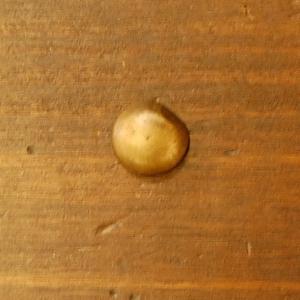 ブラスピン542 真鍮鋲 インドネシア直輸入 インテリアパーツ