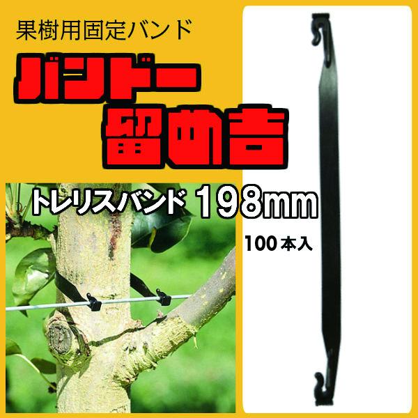 バンドー留め吉 【トレリスバンド Tree Tie 198mm 100本入】枝 幹 木 ワイヤー 誘...
