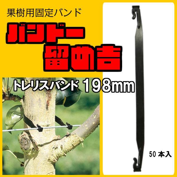バンドー留め吉 【トレリスバンド Tree Tie 198mm 50本入】 果樹固定バンド 枝 幹 ...