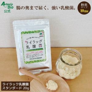 乳酸菌 サプリ 便通 腸活 腸内細菌 おなら サプリメント 有胞子性乳酸菌 粉末 1000円ポッキリ 10日分 お試し ライラック乳酸菌