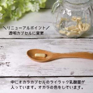 ライラック乳酸菌スタンダード(カプセル) 31...の詳細画像3