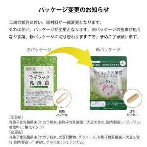 ライラック乳酸菌スタンダード(カプセル) 31...の詳細画像2