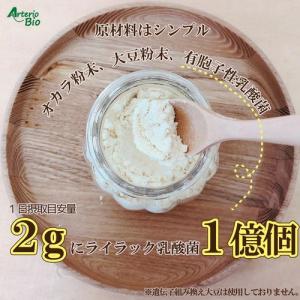 ライラック 乳酸菌スタンダード60g (1ヶ月...の詳細画像1