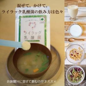 ライラック 乳酸菌スタンダード60g (1ヶ月...の詳細画像2