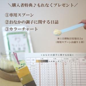ライラック 乳酸菌スタンダード60g (1ヶ月...の詳細画像3