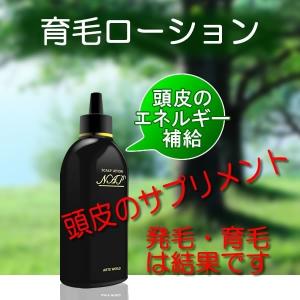 NAPスカルプローション 200mL 美容室で大人気 メンズ レディース 頭皮の臭い、ダメージを抑え、育毛・発毛環境を整えます。｜arteworldshop