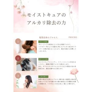NAPモイストキュアシャンプー 700ml 詰...の詳細画像3
