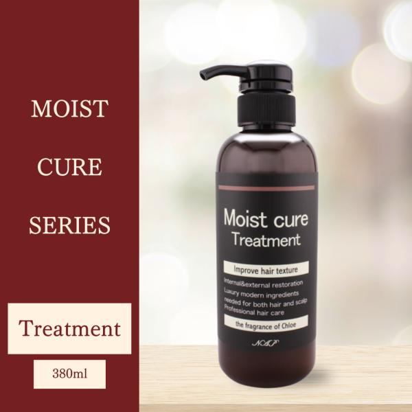 NAPモイストキュアトリートメント 380ml  ボトル サロン専売 タンパク質 アミノ酸 ダメージ...