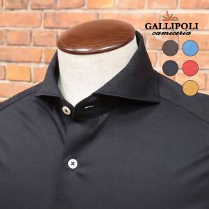 GALLIPOLI camiceria 日本製シャツ シルケット 美艶ジャージー 伸縮 無地  カッタウェイ 長袖 キレカジ 大人 ベーシック 定番 メンズ ガリポリ カミチェリア｜artfish