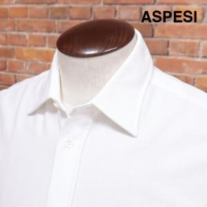 ASPESI 定番シャツ CE31 ANDREA メッシュ織り 清涼 無地 カッタウェイ 上品 長袖 30代 40代 50代 イタリアブランド メンズ 紳士｜artfish