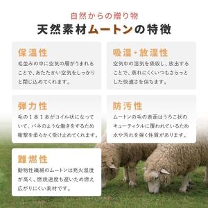 ムートンクッション M-17413 約40×4...の詳細画像4