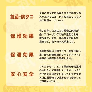 敷物用保護シート お紙さん 3帖用(約101×...の詳細画像2