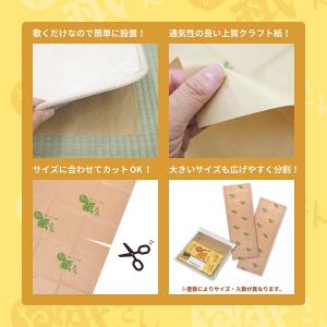 敷物用保護シート お紙さん 4.5帖用(約10...の詳細画像4