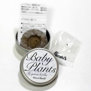 ベビープランツ【小さなハーブ栽培セット】NEW...の詳細画像3