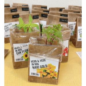 栽培キット　HERB & VEGE IN BAG　種類は１８種類！！　　　　花　ガーデニング　種　種子　栽培キット　ハーブ　ケール　えごま　小松菜　トマト　野菜｜アートフルライフYahoo!ショップ