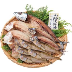 山陰海鮮一夜干しセット 1852-35   産地直送   食品 海産物 魚介類 干物 産地直送 魚介総菜 惣菜 料理
