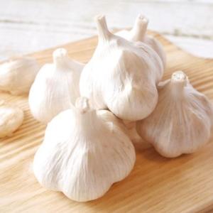 にんにく 青森 国産 Lサイズ 10kg A品 福地ホワイト六片 : みちのく処