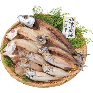御歳暮にも 山陰海鮮一夜干しセット 4993-35   食品 海産物 魚介類 干物 産地直送 魚介総菜 惣菜 料理